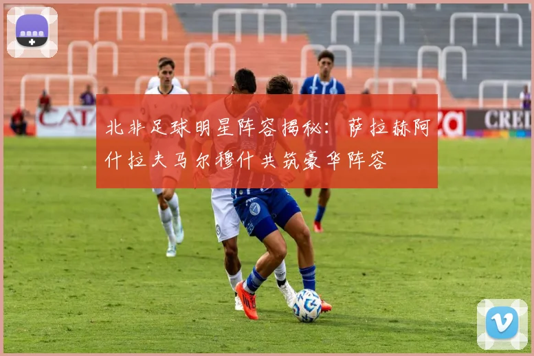 北非足球明星阵容揭秘：萨拉赫阿什拉夫马尔穆什共筑豪华阵容