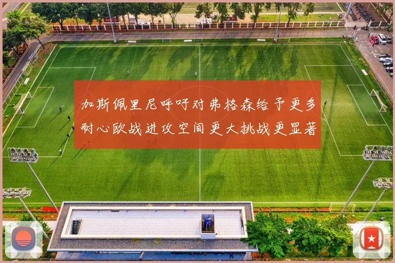 加斯佩里尼呼吁对弗格森给予更多耐心欧战进攻空间更大挑战更显著